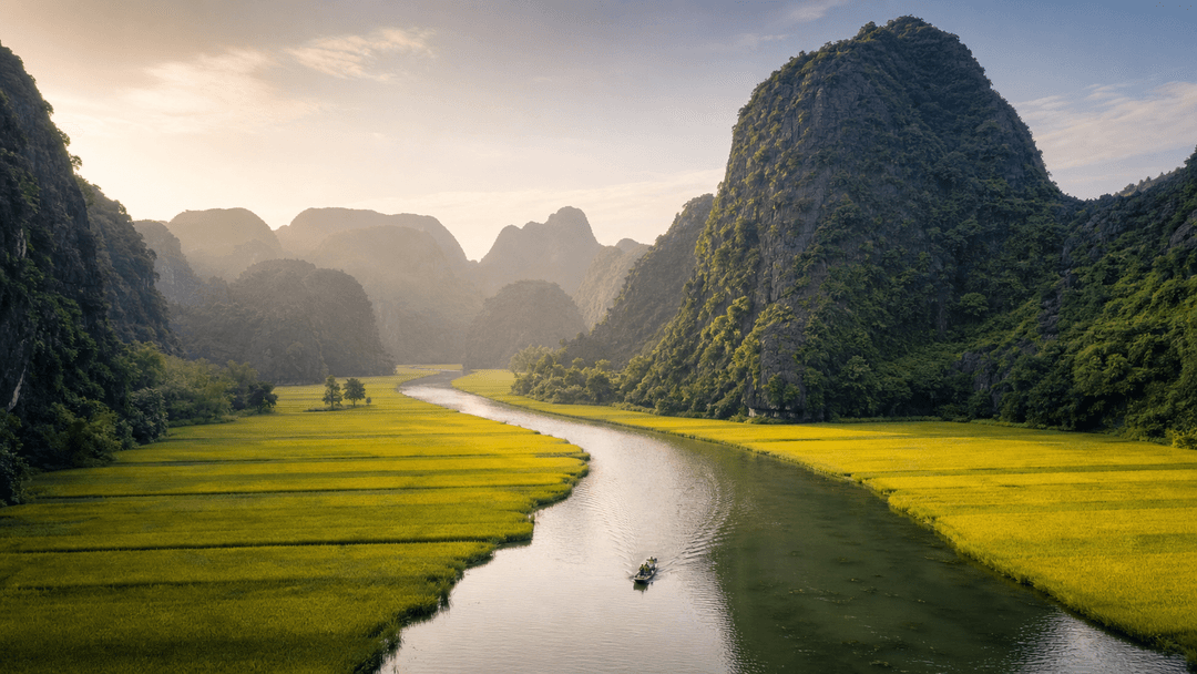 Ninh Binh Rice Fields
