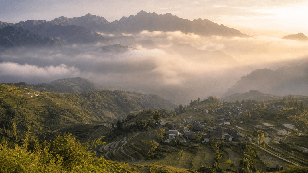 Sapa rice terraces