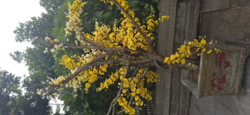 Spring 2