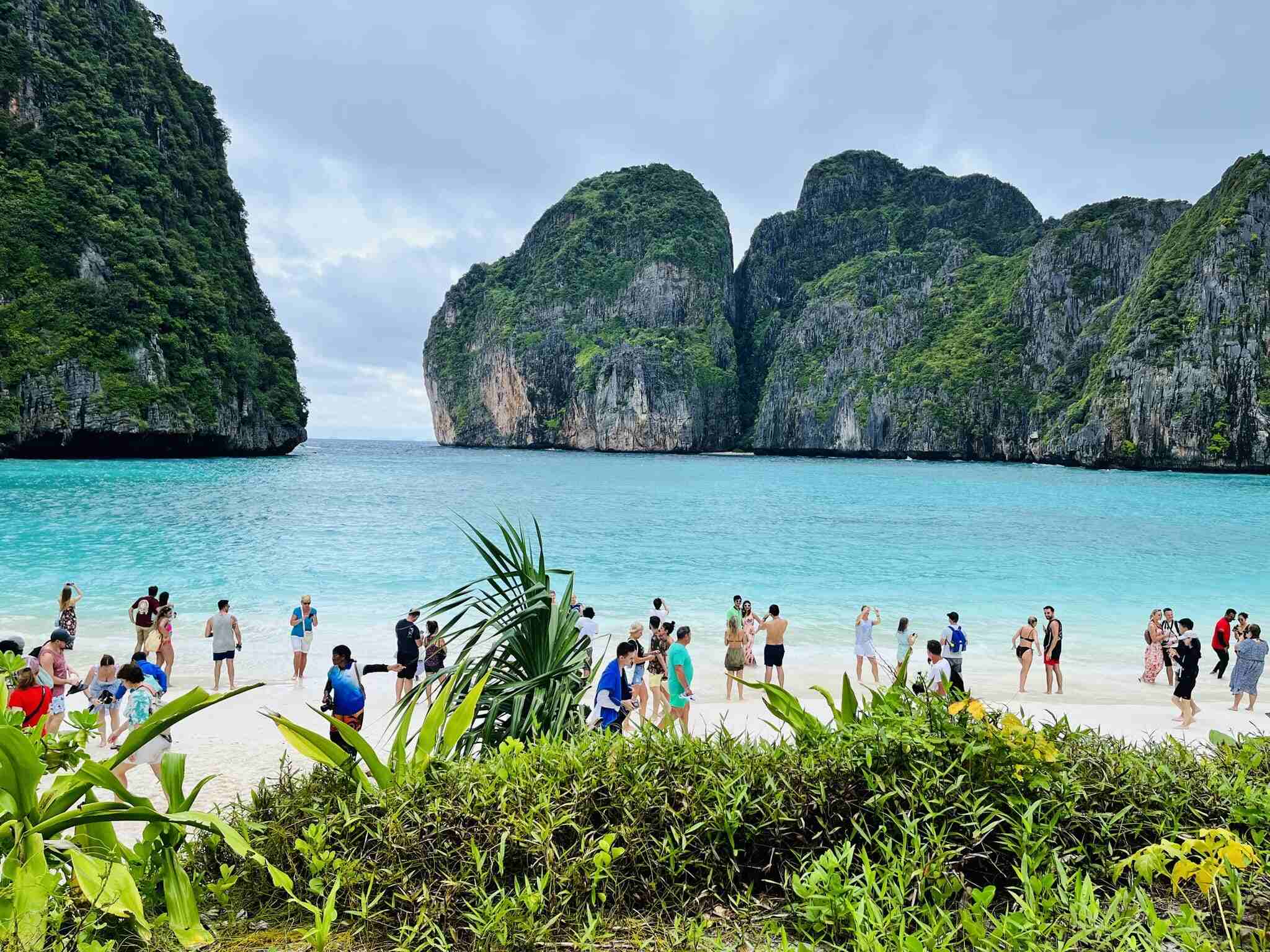 Mayabay